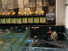 -黄山老妈·土菜(碧桂园店)