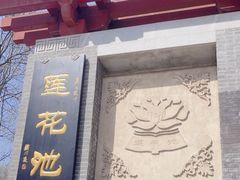 -莲花池公园
