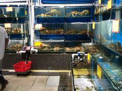 水产区-蚝专家(北滘店)