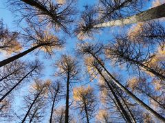 -硗碛藏寨·神木垒景区