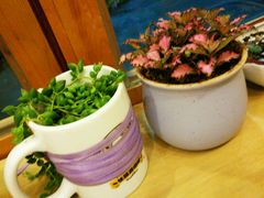 -长颈鹿咖啡(大学路店)