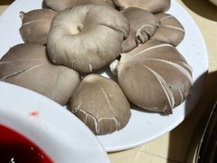 鲜平菇-大队长主题火锅(观音桥店)