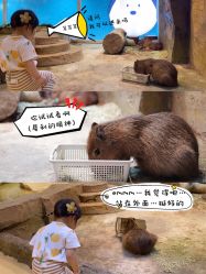 -Mr·Kuma酷么先生雪之乐园