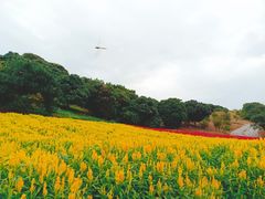 -松山湖南湖湾露营营地