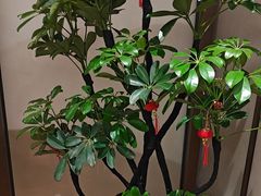 -宴昆山·私房菜(春晖店)