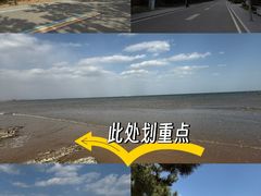 -山东八大碗山东老字号