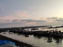 -硇洲岛旅游区