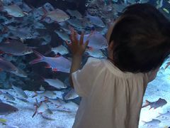 -成都浩海立方海洋公园