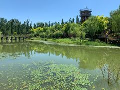 -东郊湿地公园