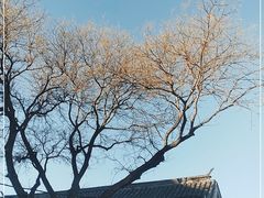 -宫门口馒头铺(创始人总店)