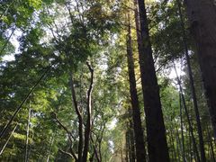 -同里国家湿地公园