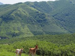-灵山