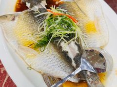 -金瑞轩大酒楼·顺德鱼生·粤菜海鲜(东江国际店)