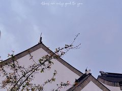 -青果巷历史文化街区