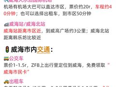 -威海大水泊国际机场