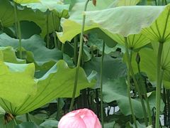 -丝绸小镇荻港古村