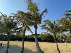 -福田红树林生态公园