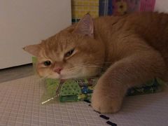 -PANCAKE私宅甜点(雅山新天地店)