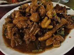 现杀果园鸡—黄焖鸡-生态苑农庄(十里画廊遇龙河店)