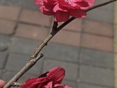 -金家老三饭庄(常营店)
