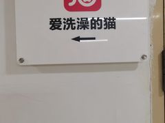 -爱洗澡的猫(望京店)