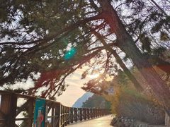 -青岛崂山太清宫