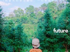 -火炉山森林公园