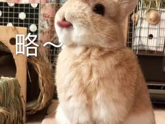 -yes or no(南部商务区店)