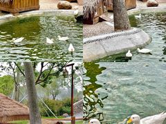 -珠海海泉湾神秘岛亲子乐园