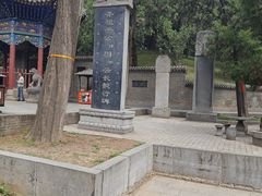 -关林
