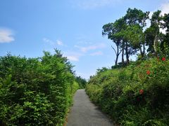 -东部华侨城