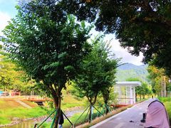 -梧桐山风景名胜区