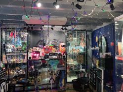 -MDZ STORE·TATTOO·耳饰