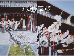 -耦园
