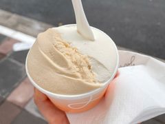 -Dip in Gelato(富民路店)