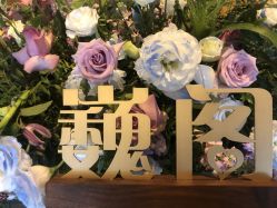 -巍阁月子中心(南山店)