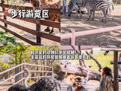 -济南野生动物世界