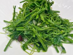 -城北食府(枫林店)