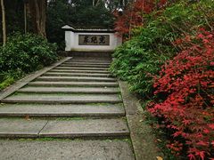 -宋宴(虎跑店)