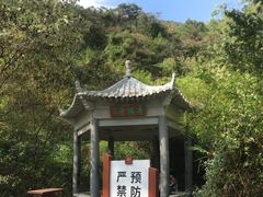 -羚羊峡古栈道森林公园