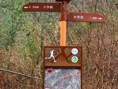 -四明山国家森林公园
