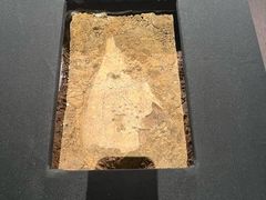 -盘龙城国家考古遗址公园