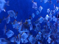 -沈阳海洋探索中心