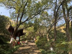 -宁波市保国寺古建筑博物馆