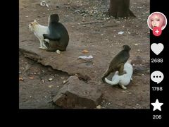 -昆明动物园