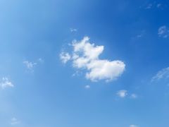 -空港花田景区