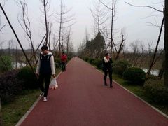 -白鹭湾湿地公园