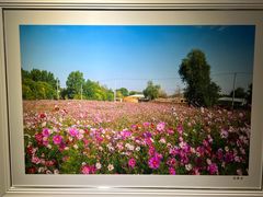 -南湖市民广场-乌鲁木齐美术馆