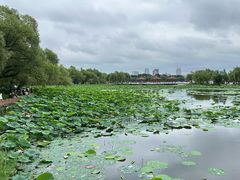 -长春市南湖公园