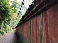 -峨眉山报国寺